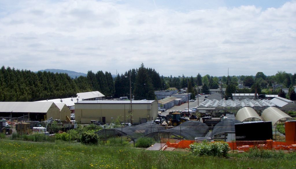 Nursery buildings, with a grassy slope of Mt. Tabor in the foreground, and trees and hills to the south in the background.
